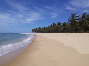 Gunga Beach - tropical end