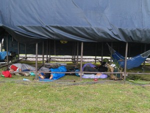 Next morning - visitors sleeping under the main stage