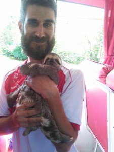 Cute sloth
